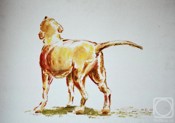 ������� ������ �� ������. ������ ������. ����