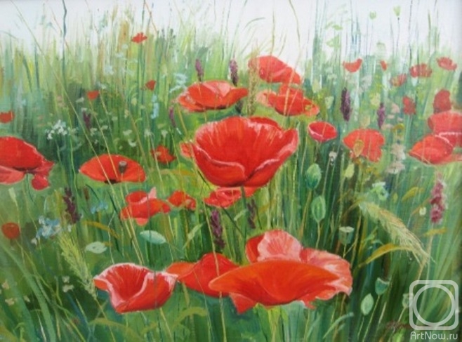 Chernyshev Andrei. Poppies in the field