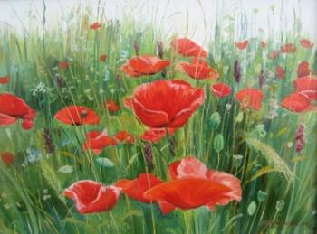 Poppies in the field. Chernyshev Andrei