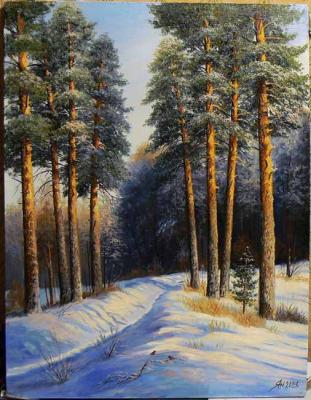 Pines in winter. Yanulevich Henadzi