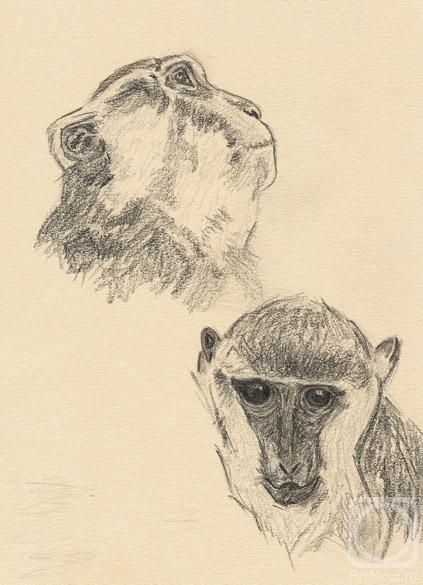 �������. ��������� ����. ��������