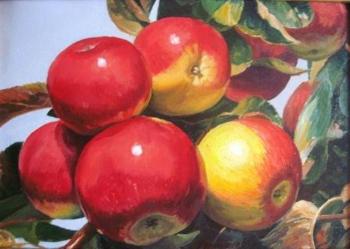 Apples on a branch. Chernyshev Andrei