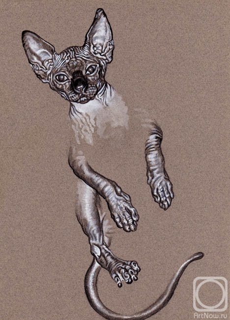 �������. ��������� �����. �������