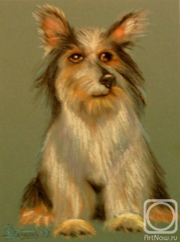 Lukaneva Larissa. Untitled