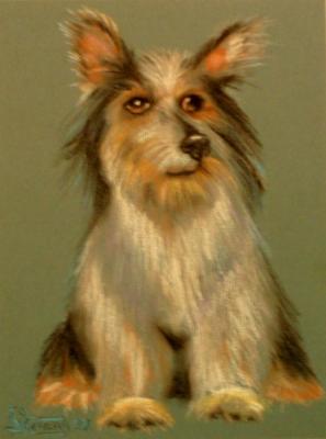 ������� ���������� �������� �������