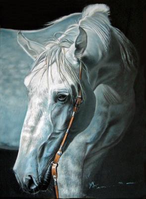 Schtorch's Horse. Kryukovskiy Aleksey