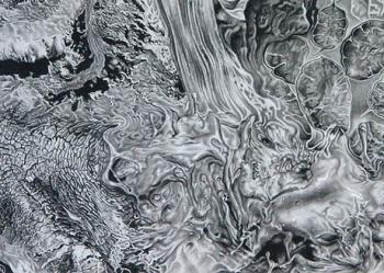 ������� �������� �� ����� ���� ���������. ��������