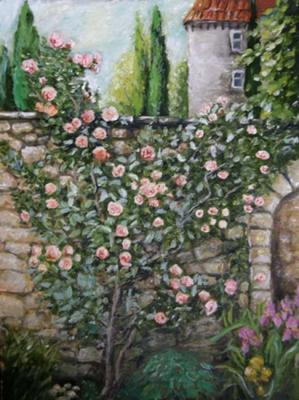 Old rose bush