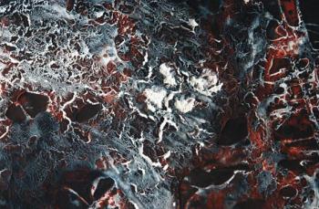 ������� ��������. ��������