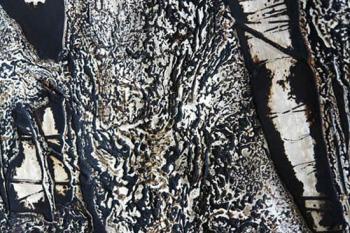 ������� ���� �� ��� �������! )))�