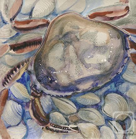 �������. ��������� ����. �� ����� �� ��� �������