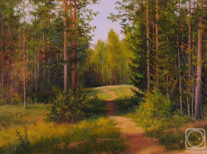 Kuricin Sergei. Wood footpath