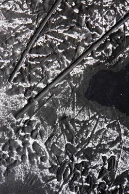 ������� ��������. ��������