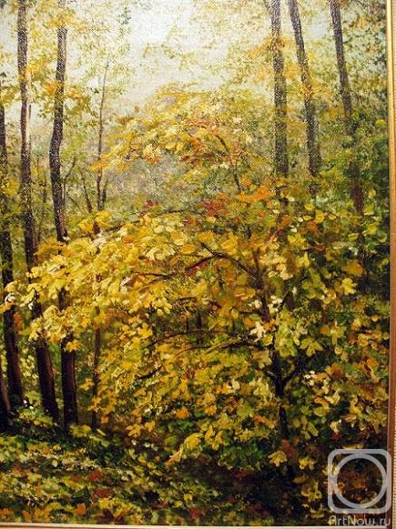 ������� ������ �� ������. ��������� �����. �����