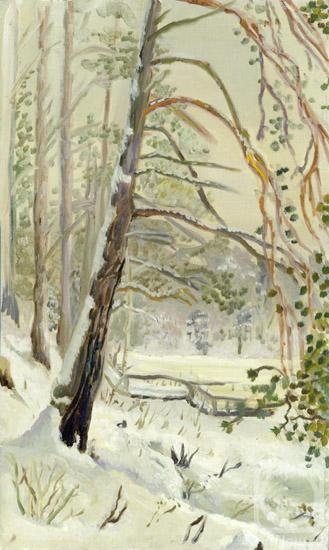 Kashina Eugeniya. Winter Fairitale