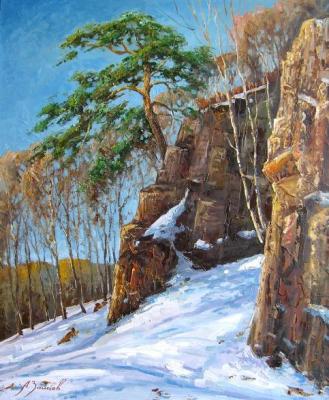 The Urals pine. Zaitsev Alexander