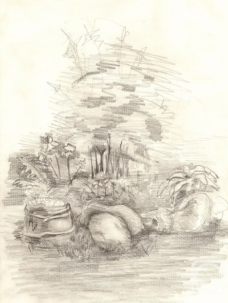 �������. �������� ����. ��������