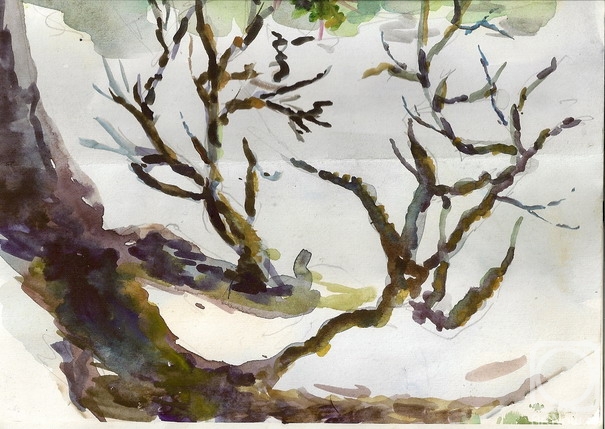 �������. �������� ����. ���������