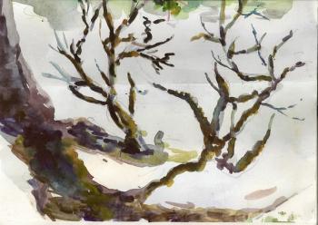 ������� ����������