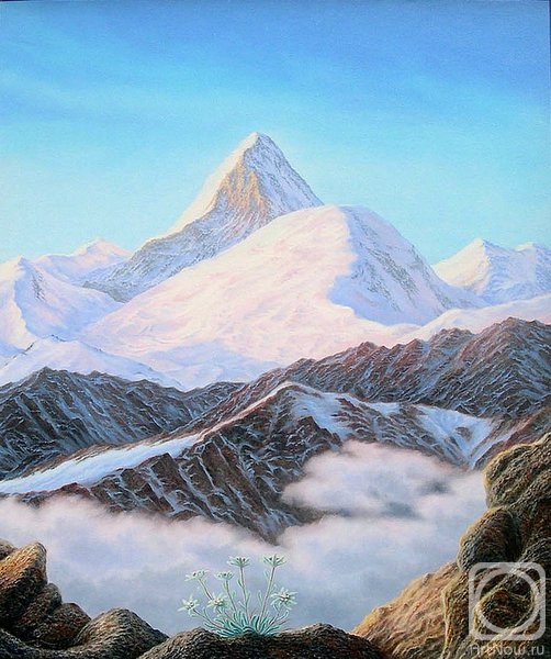 ������� ������ �� ������. ���������� ��������. ����� ���-������