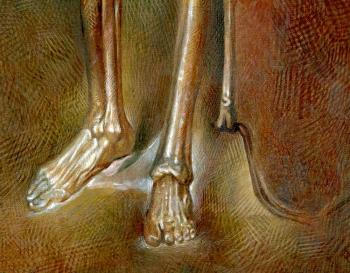 ��������� ���������� (��������). �����-����� ����