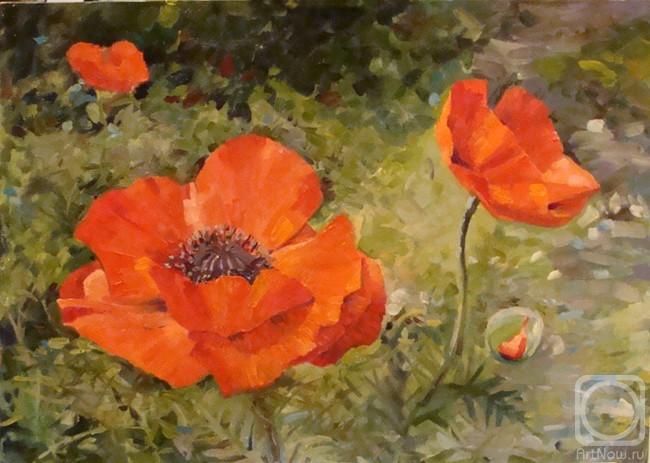 ������� ������ �� ������. ��������� ����. ���� �� ����� ������ ����-����