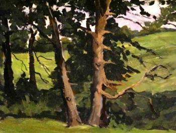 ������� ��������, ��������