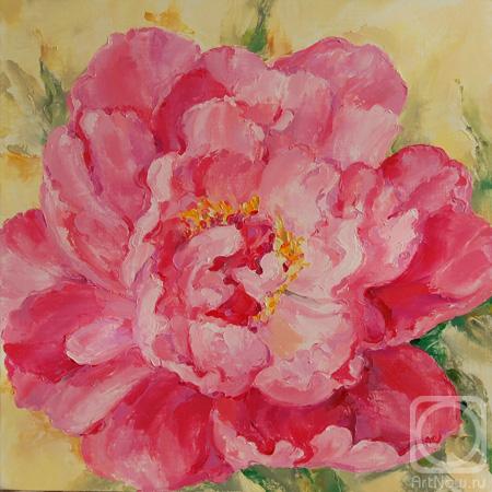 ������� ������ �� ������. ������������ ������. ����