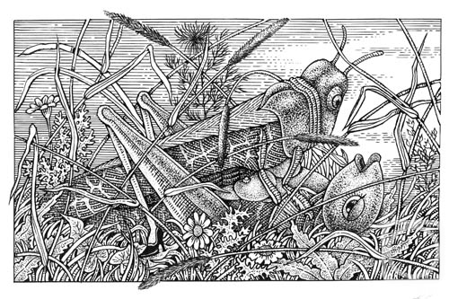 �������. ��������� ��������. � �����