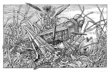 ������� �� �����