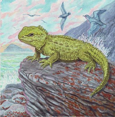 ������� ����������