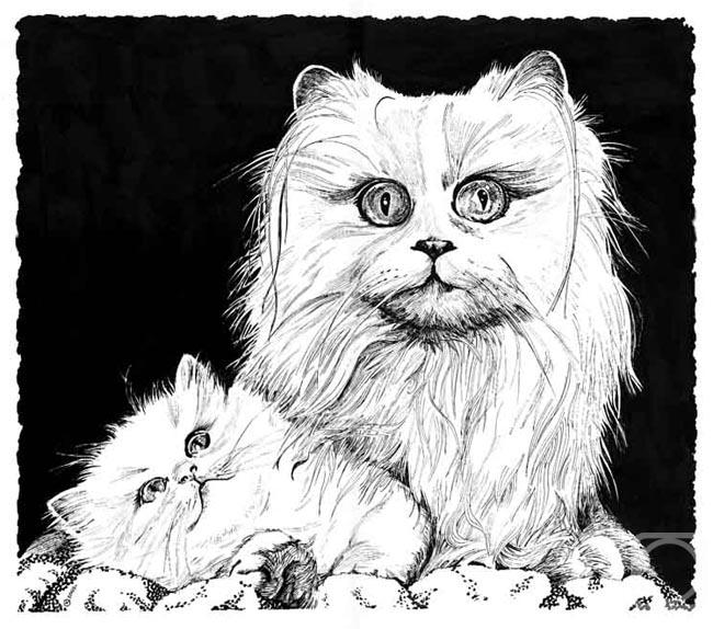 �������. ���������� �����. �������