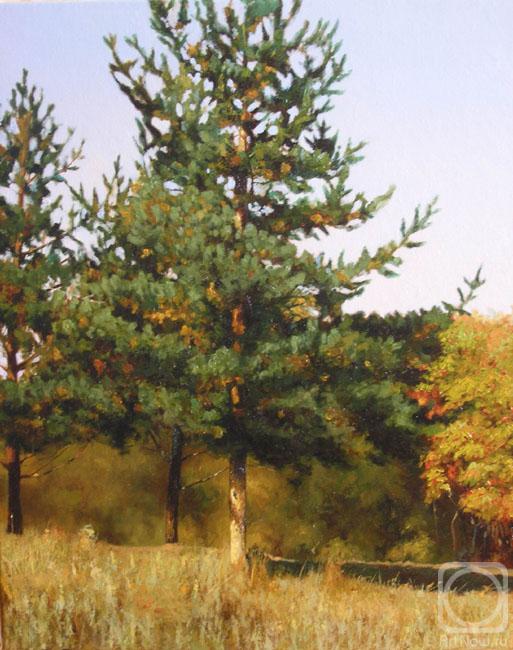 ������� ������ �� ������. ��������� ����. �����