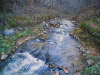 Small river in a wood (  ). Green Irina