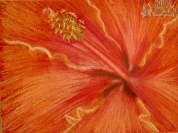 ������� �������