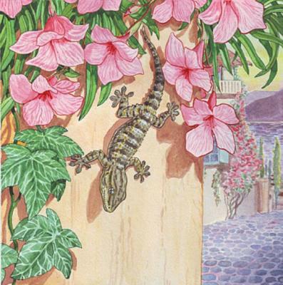 Moorish Gecko ( ). Fomin Nikolay