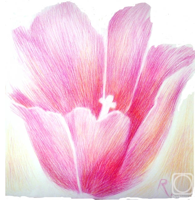 Rasina Nina. Untitled