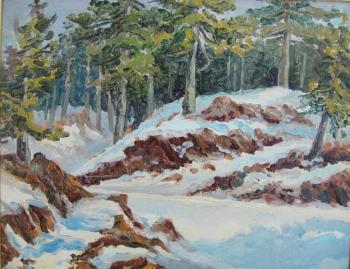 Winter study in Troodos. Lazarev Dmitry