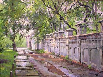 After storm. Efremov Alexey