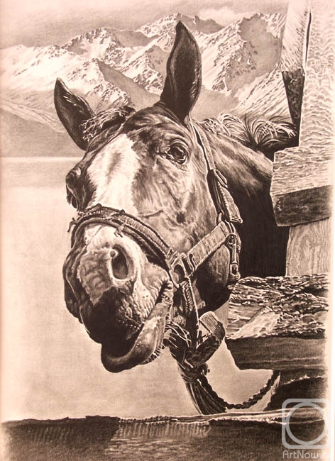 �������. ��������� �����. ������� ������