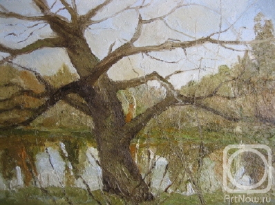 ������� ������ �� ������. ����� �������. ������