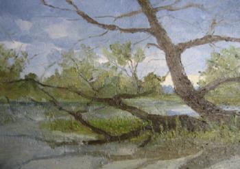 ������� ������ � ���������