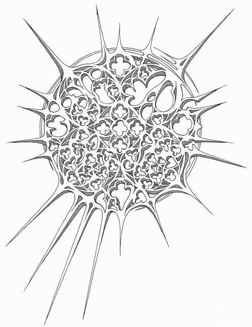 �������. �������� �������. En Route