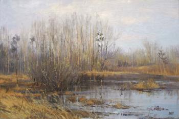 ������� ��� ������� �������