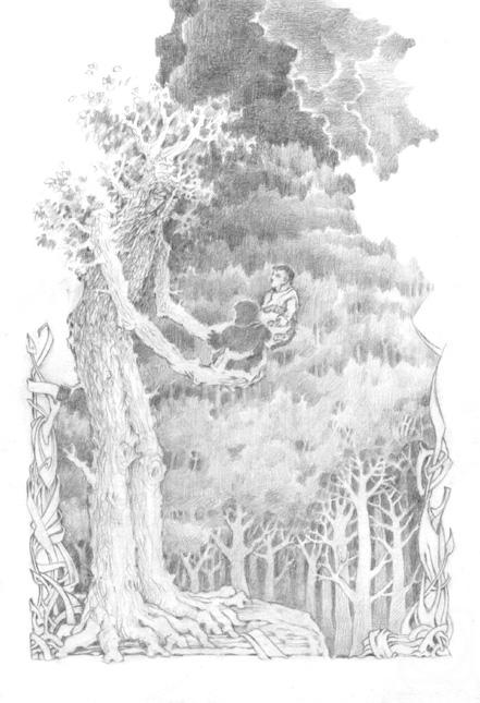 �������. ��������� ������. �������