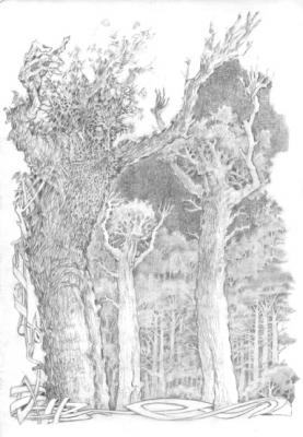 ������� ������