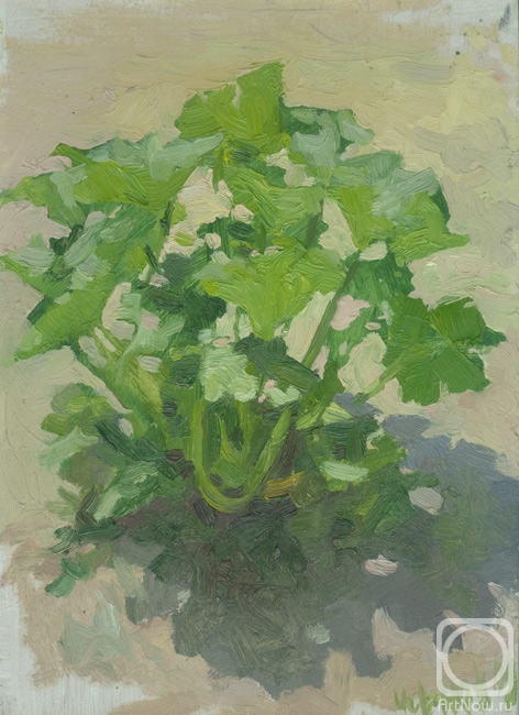 �������. ������ �����. ������� (����)