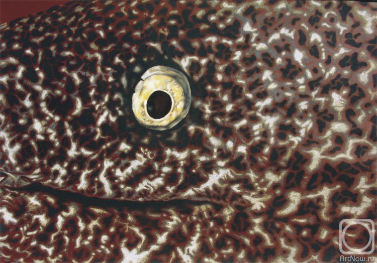 �������. ��������� �����. ����������� �� ����� ��������