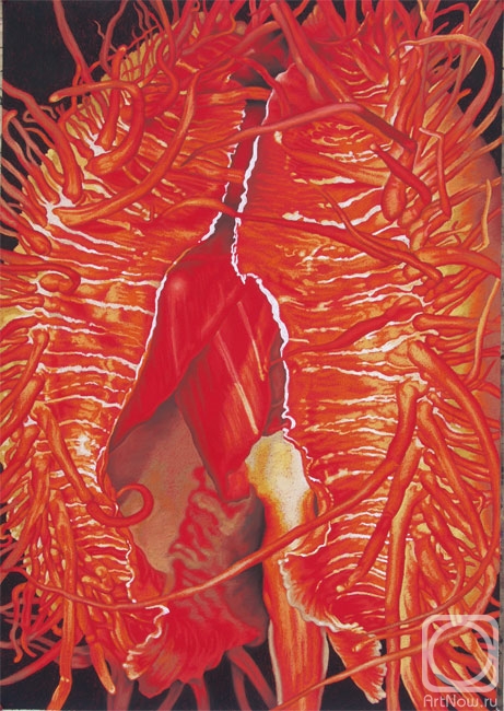 �������. ��������� �����. �� ����� ��������