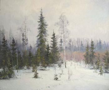 The winter. Efremov Alexey